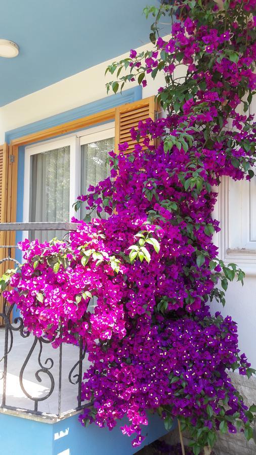 Clementin Suits Siğacık Exterior foto